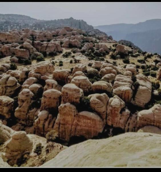 فندق فندق دانا القمر المظهر الخارجي الصورة